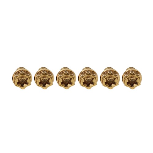 6 Piezas Tornillos Titanio Torx Cabeza Brida Tornillo M8x30mm Dorado Para Moto - Imagen 4 de 12