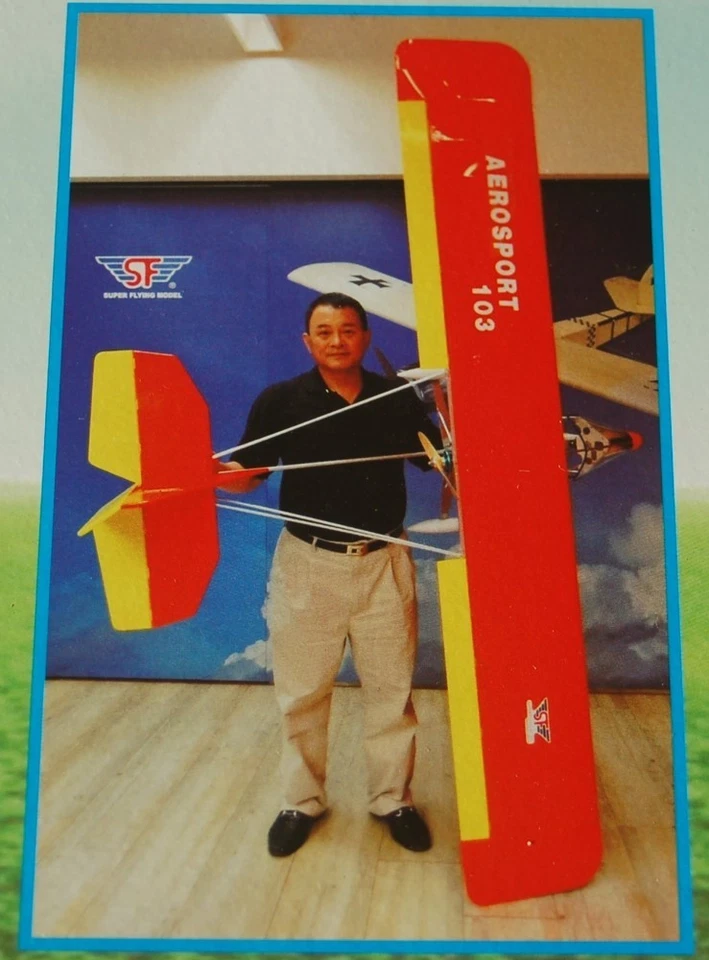 RC 1:3 Ultraleicht 2390mm Aerosport 103 ARF UL ULM EP GP für 6S LiPo bis 30ccm - Bild 3 von 4