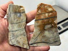 Picasso Marble (Jasper) Slabs Cabbing Lapidary Utah Combo Ship Avail