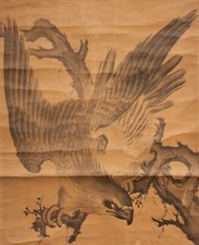 Antique Japanese hanging scroll  with a hawk By Mori TetsuzanEdo period k284