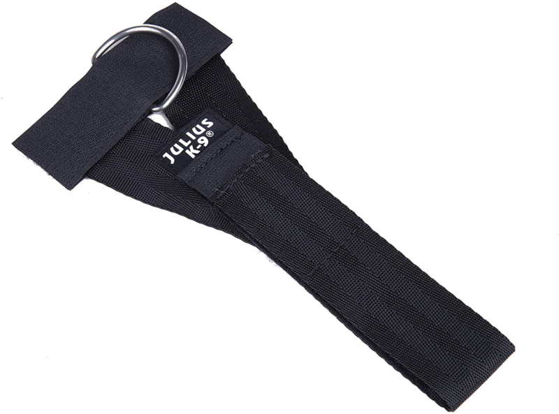 julius k9 jogging belt