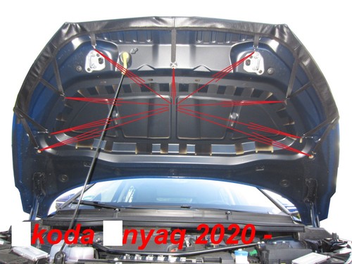 SUJETADOR CAPÓ COCHE se adapta a Skoda Enyaq desde 2020 MASCARILLA FRONTAL NARIZ - Imagen 2 de 2