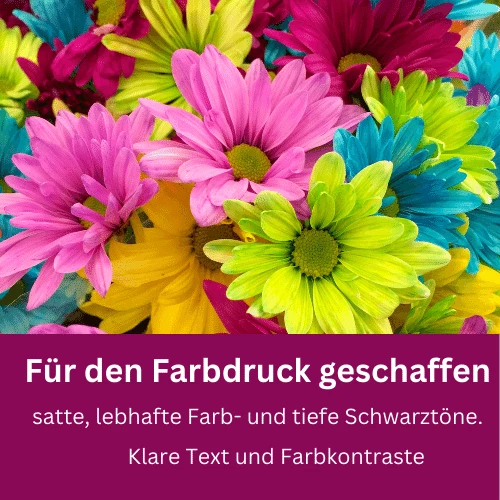 Canon Fotopapier Premium PT-101,10x15cm,20 Blatt 300 g/m²,Druckerpapier,Glossy - Bild 3 von 3