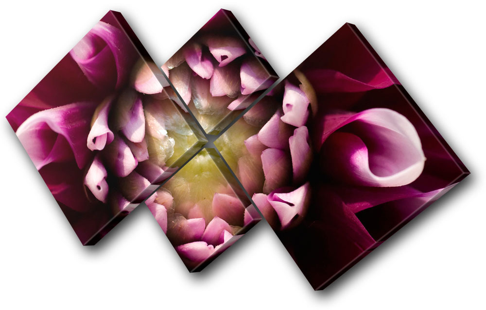 Floral Flowers BOTANICAL MULTI CANVAS WALL ART Picture Print VA