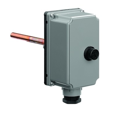 Termostato ad Immersione 100°C di Sicurezza Caleffi 624000 Professionale