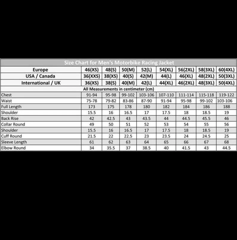 Chaqueta de cuero para motociclista/motocicleta APRILIA MOTOGP Chaquetas de cuero para motociclista de carreras Foto 3 de 3