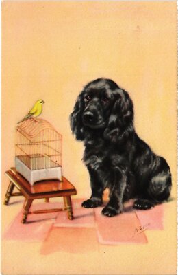 CPA AK Spaniel Black Spaniel with a Bird DOGS (1387773)