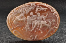 Vintage shell cameo "Feast of the Gods" ( 73ｍｍ(2.87in) 101ct ) signed by artist.