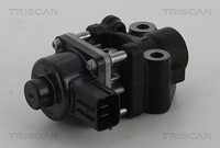 Triscan Agr-Ventil U.A. FüR Fiat, Subaru, Suzuki