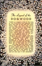 Vintage The Legend of the Dogwood Floral Postcard by Tichnor Bros