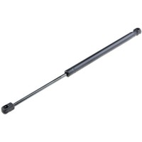 NTY Gasfeder Heckklappe FüR Suzuki SX4 GY 1.6 VVT 2.0 Ddis 4X4 EY 1.5 Fiat