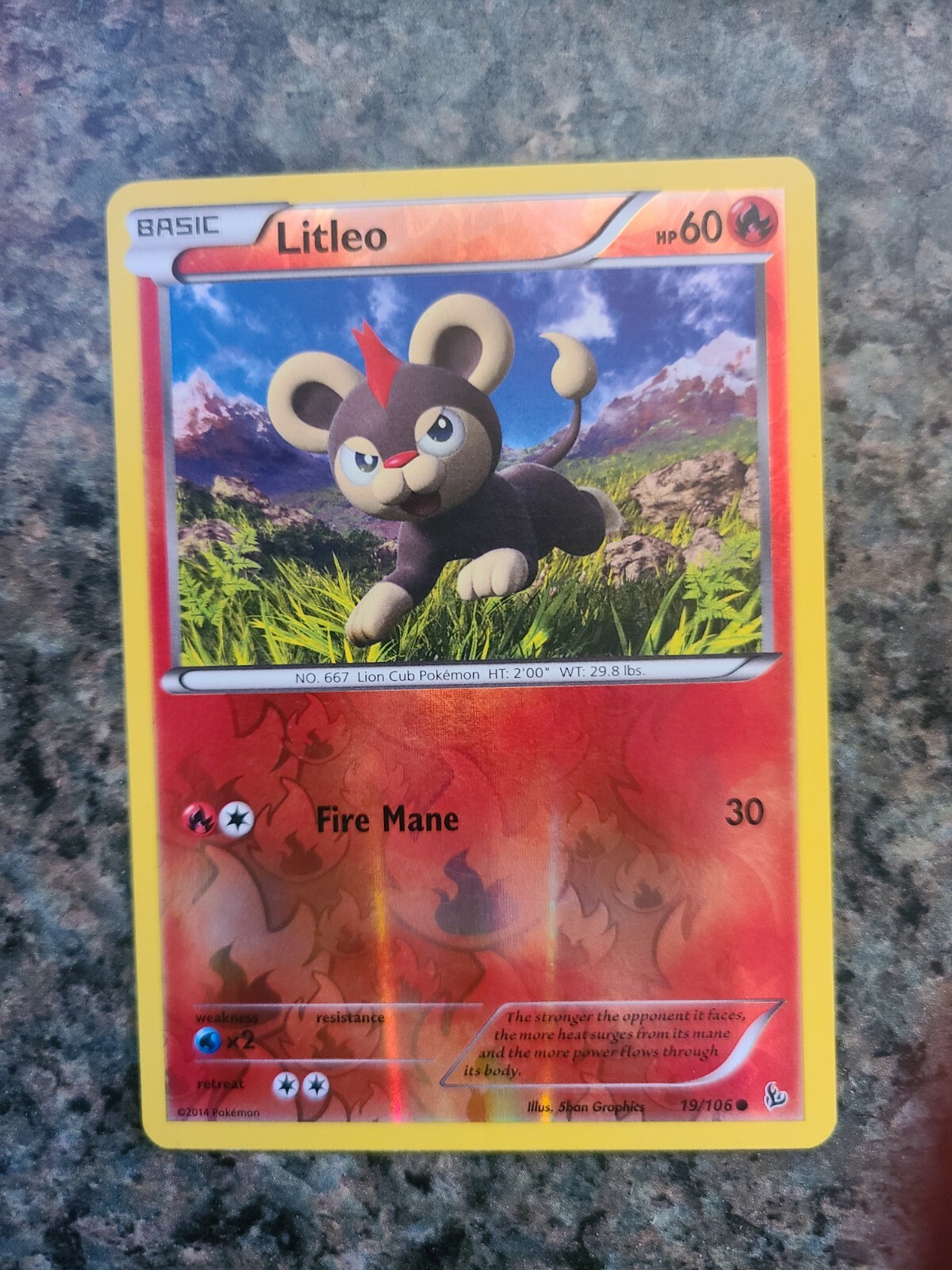 2014 pokemon Flashfire reverse holo Litleo 19/106  NM    p1