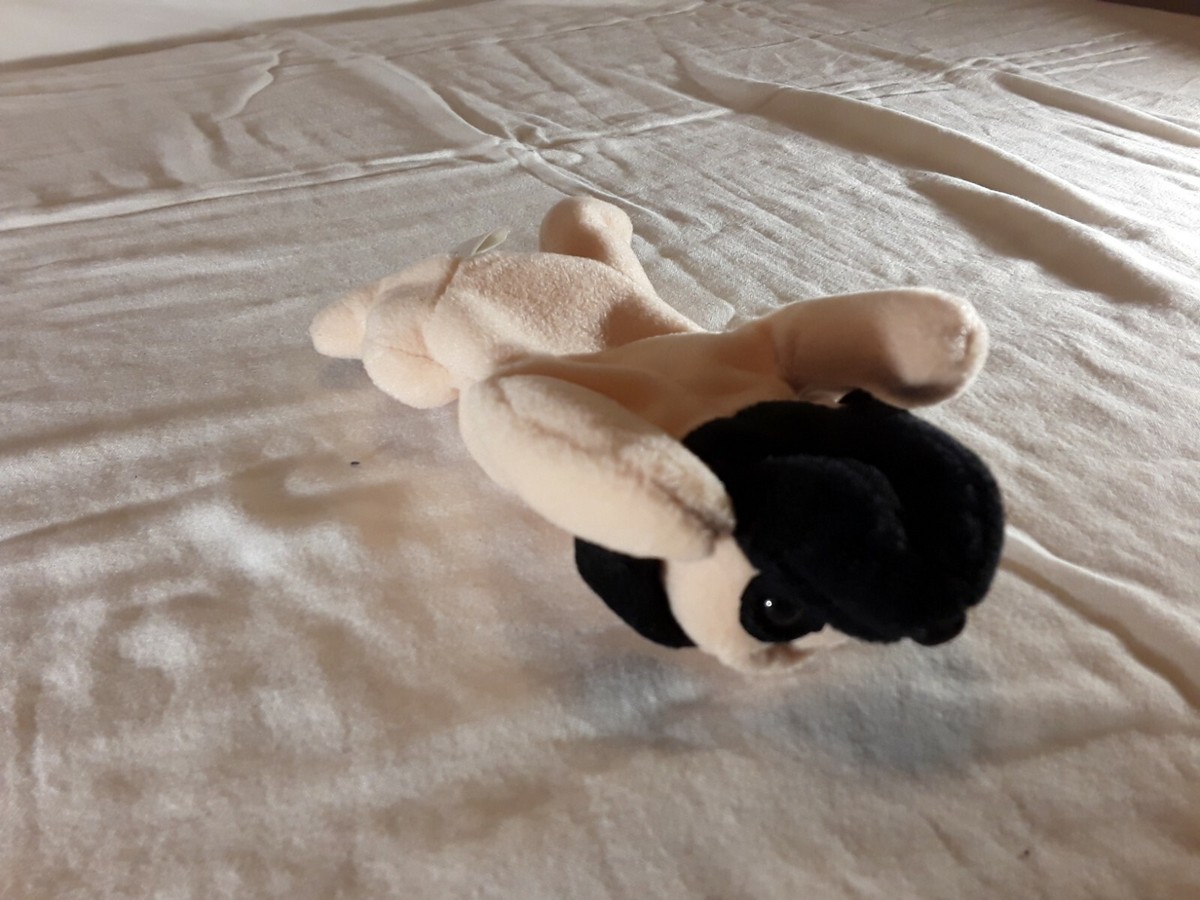 Ty Beanie Baby Pugsly - Carlino 1996 - Con Etichette Mint - Nuovo