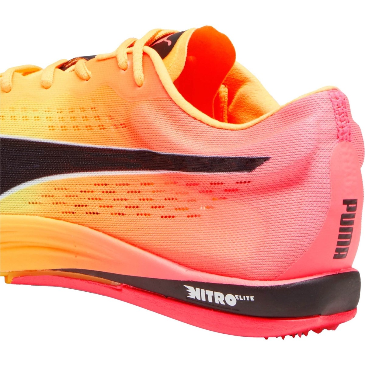 Puma evoSpeed Nitro Elite+ Long Distance Running Spikes