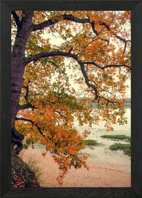 Herbst Baum und Fluss gerahmtes Wandbild Poster Leinwanddruck Bild