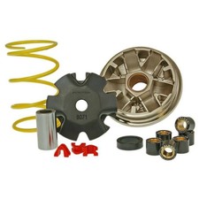 Variator Malossi Multivar Variomatik für Honda – Hochwertige Tuning-Performance