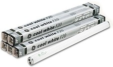 GE 20W 24' CW Fluo Bulb, Package of 6