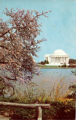 Postcard Chrome Cherry Blossom Time Jefferson Memorial Washington DC PC802
