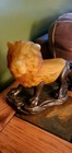 Bild 11 von 12