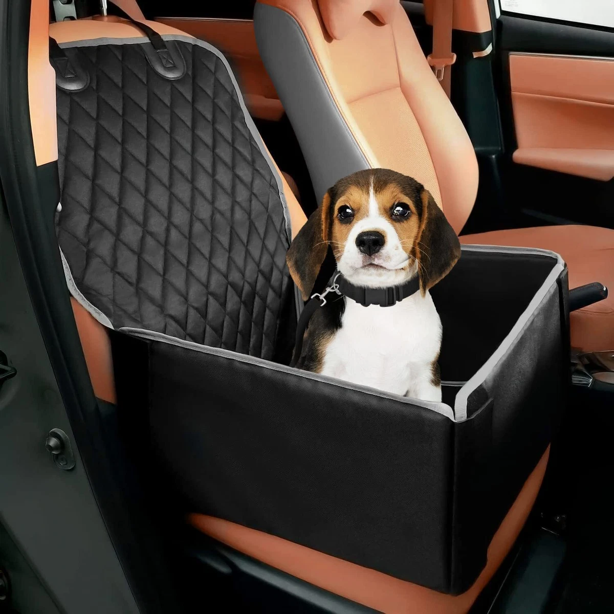 Pet car top seat carrier