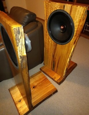 Audio Nirvana Super 15 Full Range DIY Speakers (2)-World's Best
