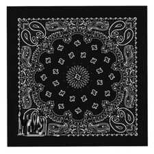 Bikers Bandanas Collection Original Design 21 x 21 BLACK / WHITE PAISLEY DESIGN