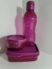 Tupperware Magenta Color Lunch Set Eco Bottle Lunch-It Bowl  NEW