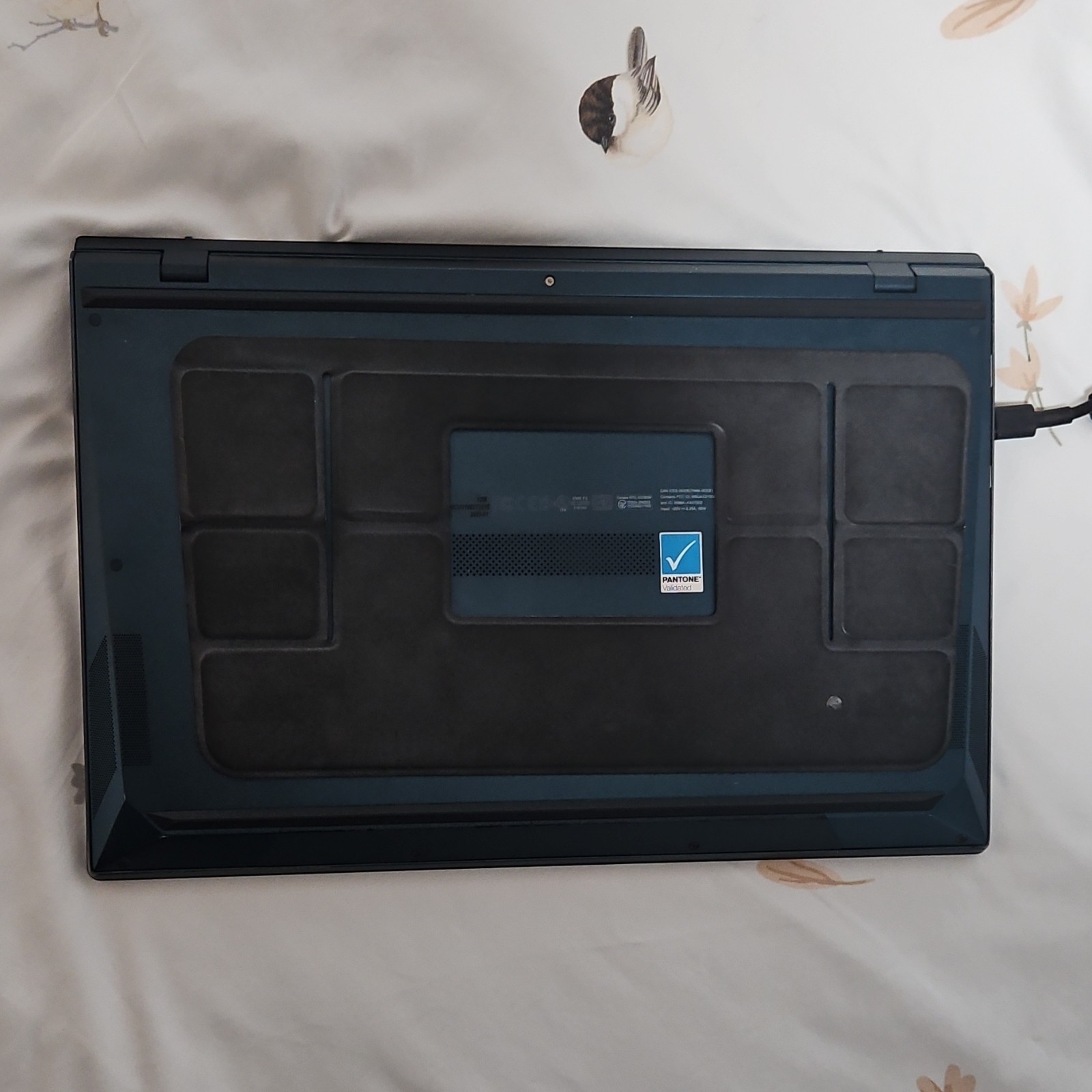 ASUS ZenBook UX482EGR, 14-Inch Laptop, with Intel Core i7