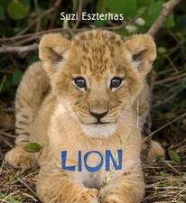 Lion by Suzi Eszterhas