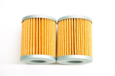 Filtron 30-105 Factory Flow Oil Filter Qty 2 NOS