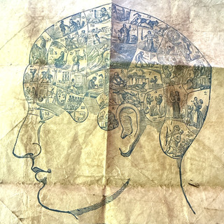 Victorian Phrenological Chart Document Charles Kendall Clanbrassil St Dundalk