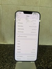 苹果iPhone 13 Pro Max 256gb | eBay
