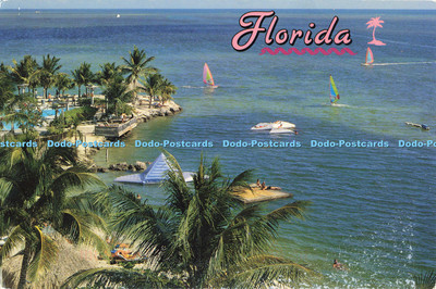 D137187 Florida Impressionen Smaragd Wasserpalme gesäumte Strände und aufregende W