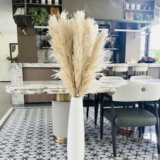 55" inch Scarcity Natural Pampas Grass Decor Tall, pompas Grass, Tall Pampas ...