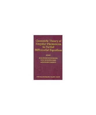 Geometric Theory of Singular Phenomena in Partial Differential Equations