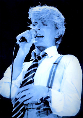 DAVID BOWIE FOTO 1983 EIN EXKLUSIVES RIESIGES UNVERÖFFENTLICHTES ELITE BILD 12 ZOLL 