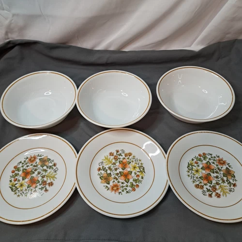 Lot Of 6 Corelle Indian Summer Bread Dessert Plates & Soup Cereal Bowls 3 Of Eac