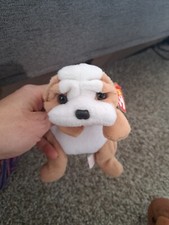 TY The Beanie Babies Collection Wrinkles Retired Rare 1996 Bulldog. Mint withTag