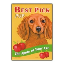 Retro Pets Refrigerator Magnet - Best Pick Pup Apples, Dachshund - Advertising