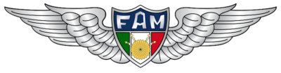 Mexican Air Force Wings Self-adhesive Vinyl Decal