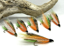 Little Brook Trout, 6- pack...size 6