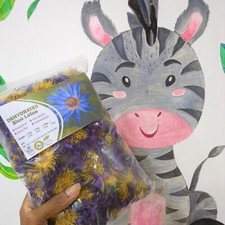 Blue Lotus Nymphaea Caerulea Dried Flowers 100 Organic Egyptian Lotus 2oz 57g 