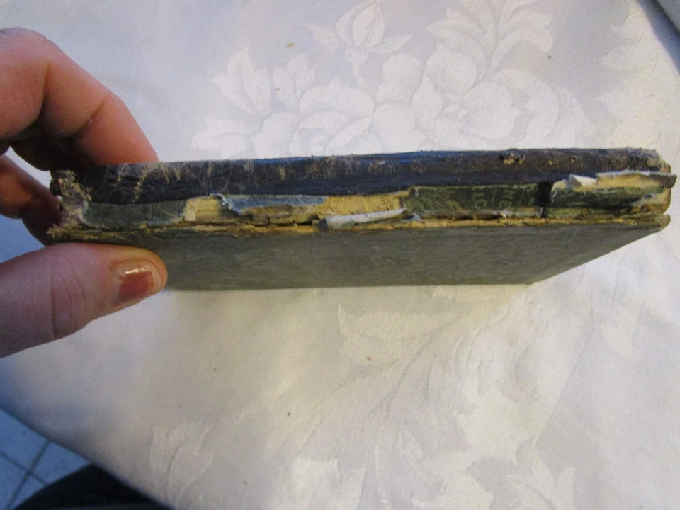 Antique book - SCENES IN AFRICA black and white pictures - LUD Foto 2 de 4