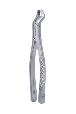 Wise Dental Surgical Extraction forceps # 10S American Style Serrated