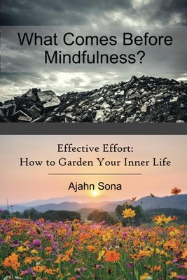 What Comes Before Mindfulness?: Effective Effort: How to Garden Your Inner Life