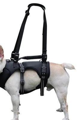 Adjustable Dog Mobility Harness Padded Sz S NWT