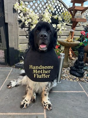 KISS MY COLLAR BIG DOG DROOL/SLOBBER BIB NEWFOUNDLAND,ST BERNARD, ALL SLOBBERY BREEDS