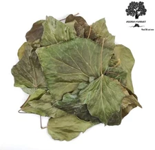 Dried English Ivy Leaves 85g - 1.95Kg | Hedera Helix