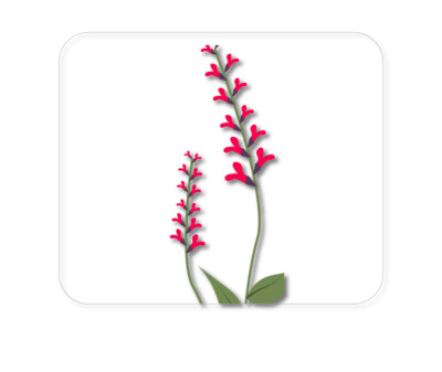 CUSTOM Mouse Pad 1/4 - Wildflowers Hot Pink