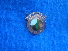 PALESTINE 1945-48 VETERANS ENAMEL LAPEL BADGE, BRITISH MADE